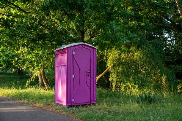 Best Luxury portable toilet rental  in Cahokia, IL
